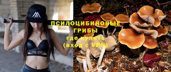 герыч Липки