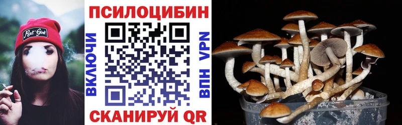 где продают   Заречный  сайты даркнета клад  Псилоцибиновые грибы Cubensis 