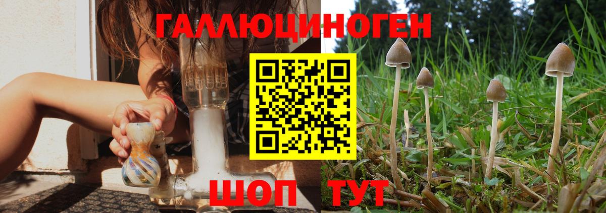 Заречный  Псилоцибиновые грибы прущие грибы  Вход с VPN 