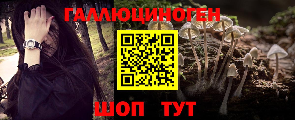 Галлюциногенные грибы прущие грибы Заречный